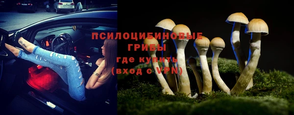 гидра Армянск