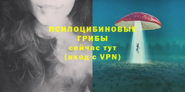 гидра Армянск