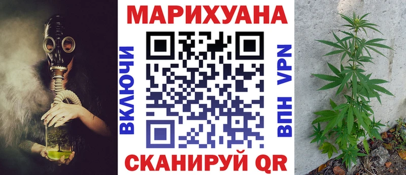 Купить где Кашин Канабис семена